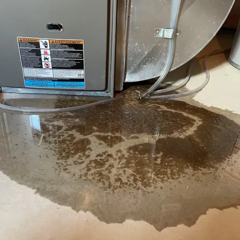 Appliance Leak Cleanup in Union, WV